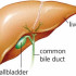 The Liver/Gallbladder in Harmony & Disease